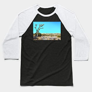 Joshua Tree National Park California Baseball T-Shirt